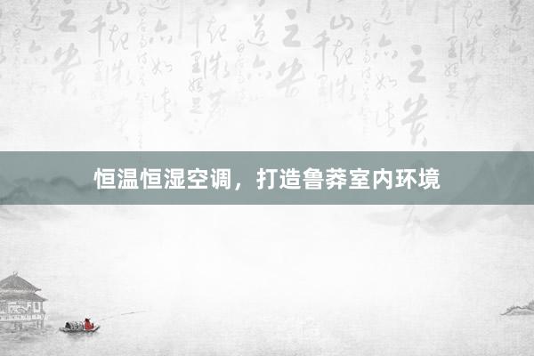 恒温恒湿空调，打造鲁莽室内环境